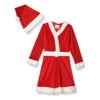 دريس كريسماس  - Christmas Dress