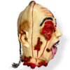 ⁦Halloween head decoration⁩ - الصورة ⁦2⁩