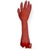 ⁦Halloween decoration hand⁩ - الصورة ⁦2⁩