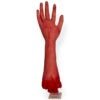⁦Halloween decoration hand⁩ - الصورة ⁦3⁩