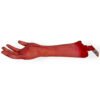 ⁦Halloween decoration hand⁩ - الصورة ⁦4⁩