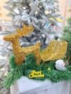 ⁦كرته ذهبى ص⁩ - الصورة ⁦4⁩