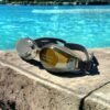 ⁦toy_toys sea goggles for boys and girls swimming goggles leakproof anti fog boys girls swimming goggles with UV protection-19⁩ - الصورة ⁦3⁩
